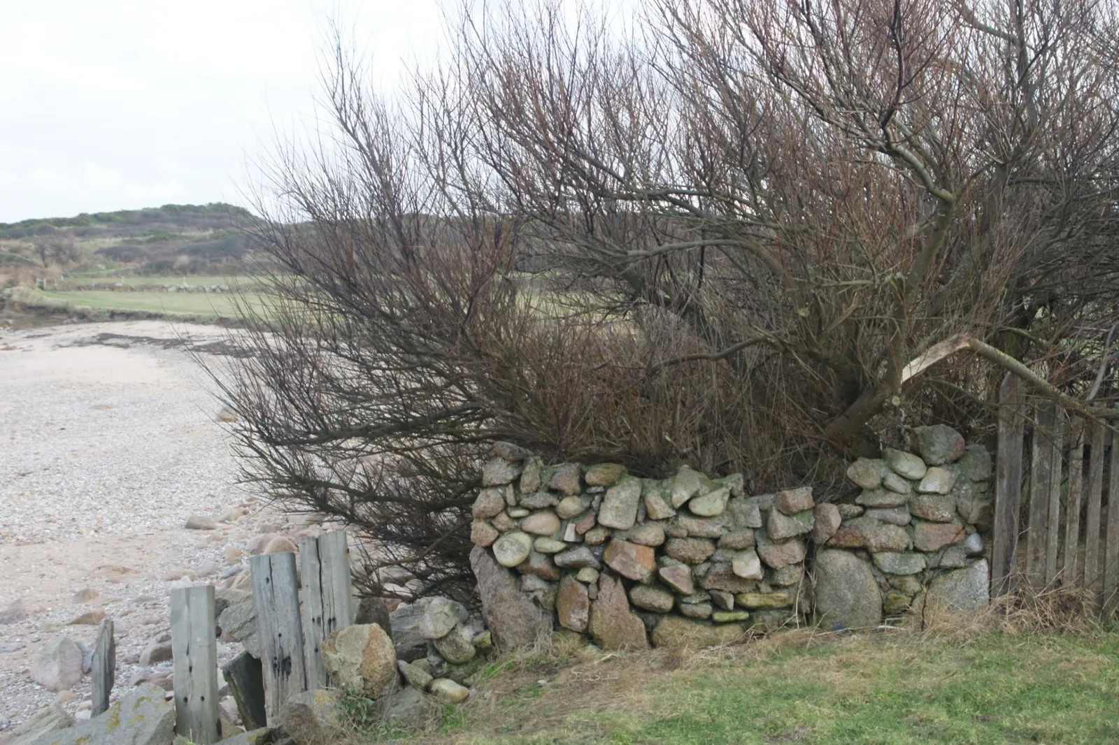 Muret de pierre sur la côte sauvage du Val de Saire